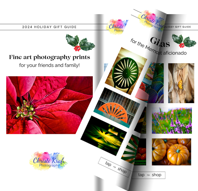 2024 Holiday Gift Guide | Christi Kraft Photography