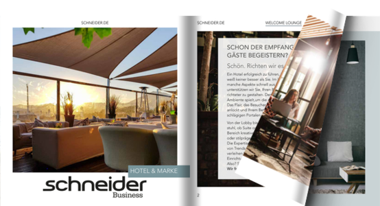 EXAMPLE PAGE - ANNUAL REPORT - Schneider
